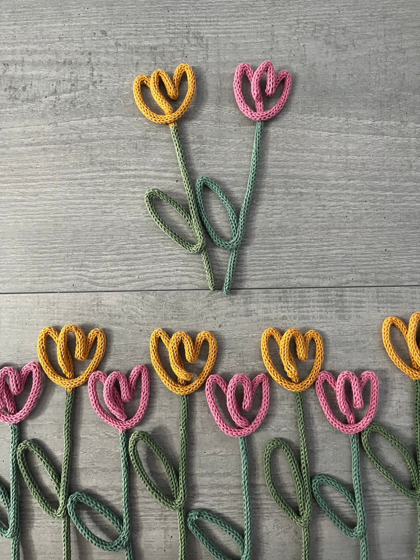 Tulipano